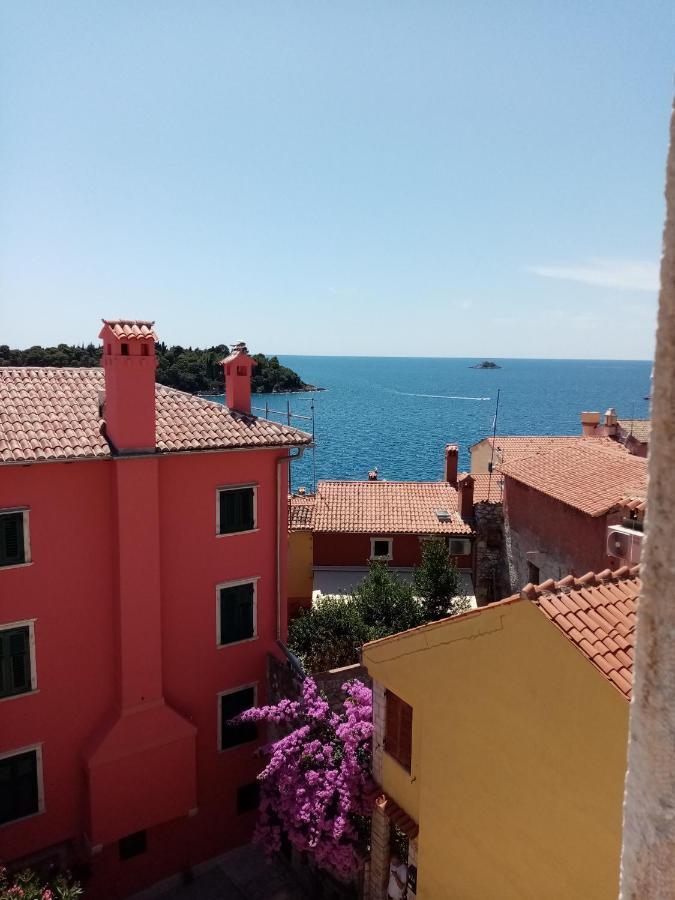 Appartamento Casa Di Marko 105 M2 Garden Rovigno Esterno foto