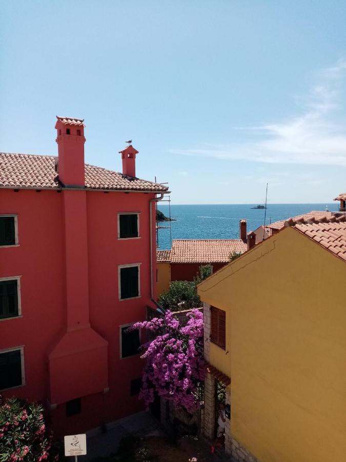 Appartamento Casa Di Marko 105 M2 Garden Rovigno Esterno foto
