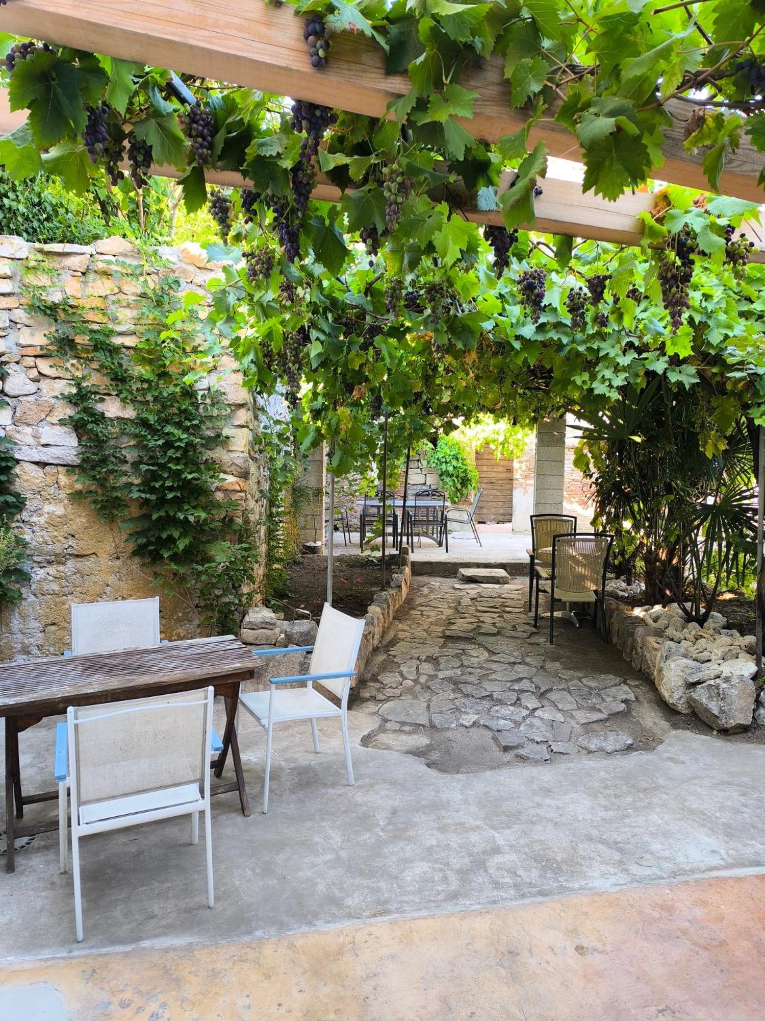 Appartamento Casa Di Marko 105 M2 Garden Rovigno Esterno foto